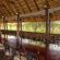 Tjailatyd Bush Lodge - Dining area