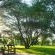 Tjailatyd Bush Lodge - Garden