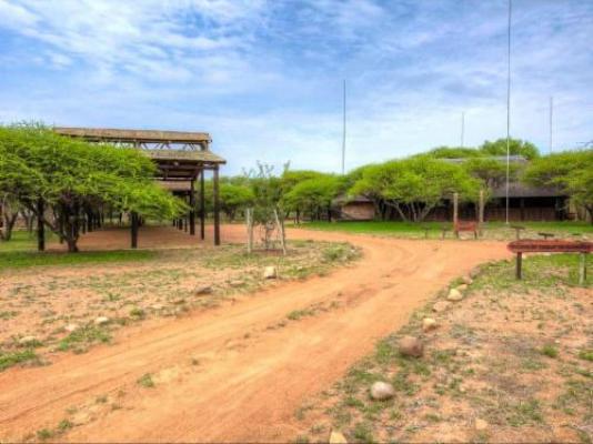 Tjailatyd Bush Lodge - Garden