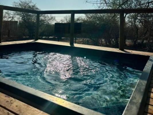 Springbokkie- Marloth Park Getaway - Pool view