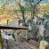 Springbokkie- Marloth Park Getaway - Natural landscape