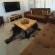 Springbokkie- Marloth Park Getaway - 271170