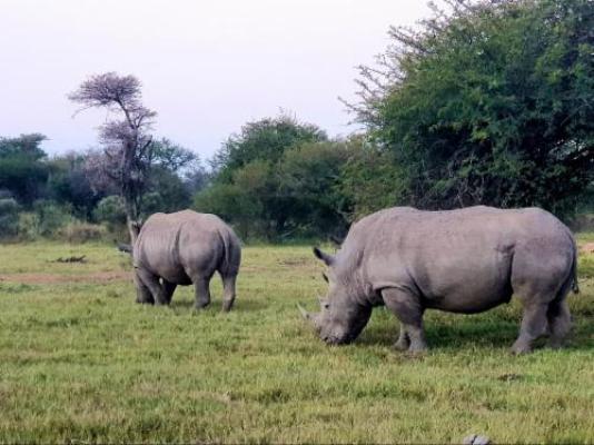 Lion's Den Game Lodge - Natural landscape