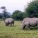 Lion's Den Game Lodge - Natural landscape