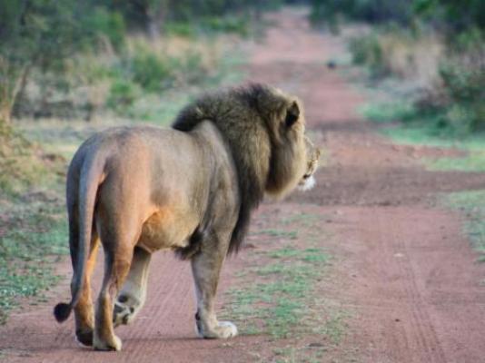 Lion's Den Game Lodge - Natural landscape