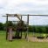 Kiaat Caravan Park - Garden