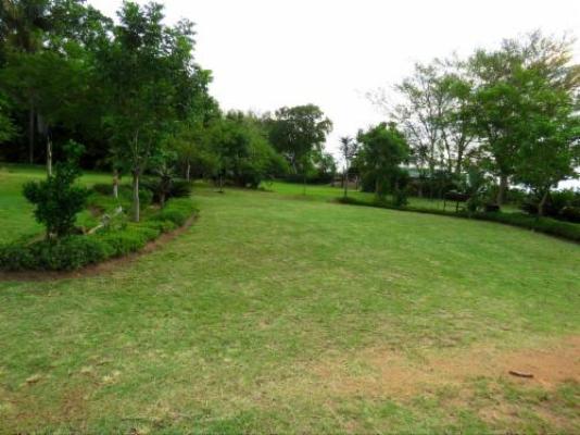 Kiaat Caravan Park - Garden