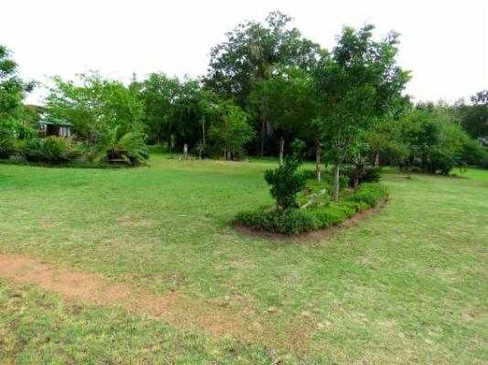Kiaat Caravan Park - Garden