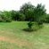Kiaat Caravan Park - Garden