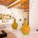 Tsitsikhaya Lodge - 271278
