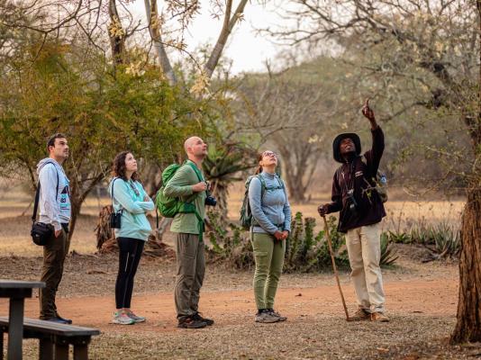 Hlane Royal National Park - 271294