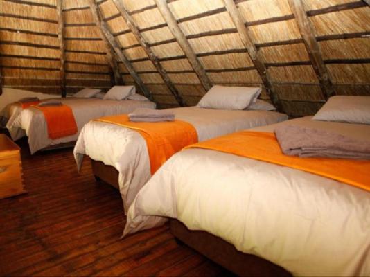 Hlane Royal National Park - 271337