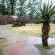 Mlilwane Wildlife Sanctuary - 271351
