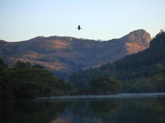 Mlilwane Wildlife Sanctuary - 271353