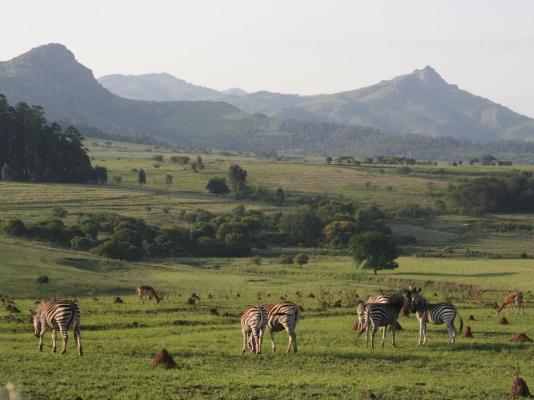 Mlilwane Wildlife Sanctuary - 271358