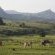 Mlilwane Wildlife Sanctuary - 271358