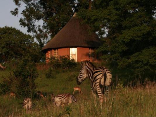 Mlilwane Wildlife Sanctuary - 271360