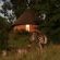 Mlilwane Wildlife Sanctuary - 271360