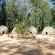 Mlilwane Wildlife Sanctuary - 271361