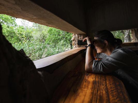 Mkhaya Game Reserve - 271409