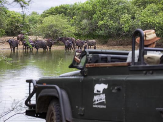 Mkhaya Game Reserve - 271411
