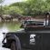 Mkhaya Game Reserve - 271411