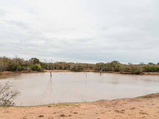 Mkhaya Game Reserve - 271417