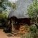 Mkhaya Game Reserve - 271428