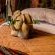 Mkhaya Game Reserve - 271432