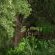 Mkhaya Game Reserve - 271434