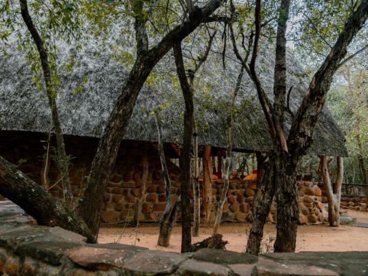 Mkhaya Game Reserve - 271439