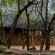 Mkhaya Game Reserve - 271439