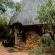 Mkhaya Game Reserve - 271442