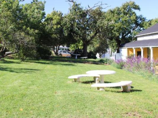 Goedgedacht Farm - Garden view