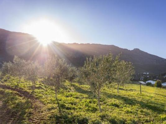 Goedgedacht Farm - Natural landscape
