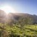 Goedgedacht Farm - Natural landscape
