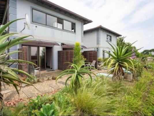 Aloes No.21 - Garden
