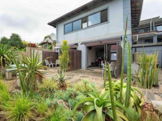 Aloes No.21 - Garden