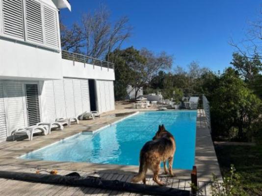 Benevolent Stay - Swimming pool