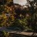 Cape Panorama Lodge - Garden
