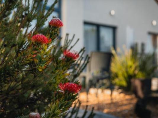 Cape Panorama Lodge - Garden