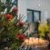 Cape Panorama Lodge - Garden
