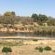 Sabie River Bush Lodge - 271776