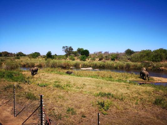 Sabie River Bush Lodge - 271783