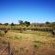 Sabie River Bush Lodge - 271783