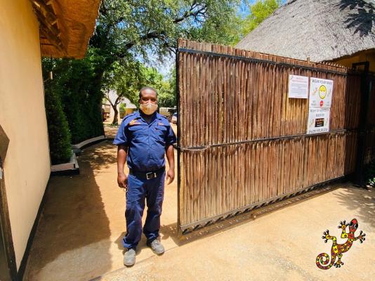 Sabie River Bush Lodge - 271786
