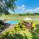 Sabie River Bush Lodge - 271787
