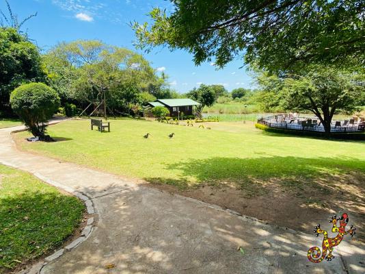 Sabie River Bush Lodge - 271789