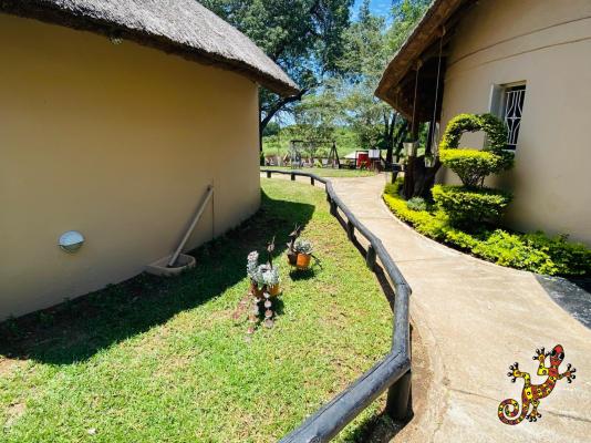 Sabie River Bush Lodge - 271790