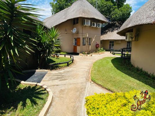 Sabie River Bush Lodge - 271792